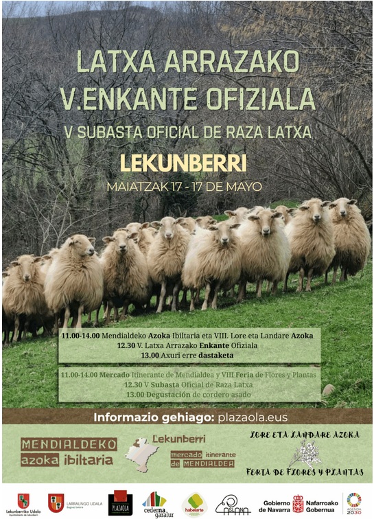 Feria Itinerante de Mendialdea en Lekunberri y V subasta ofocial de raza latxa (Lekunberri)