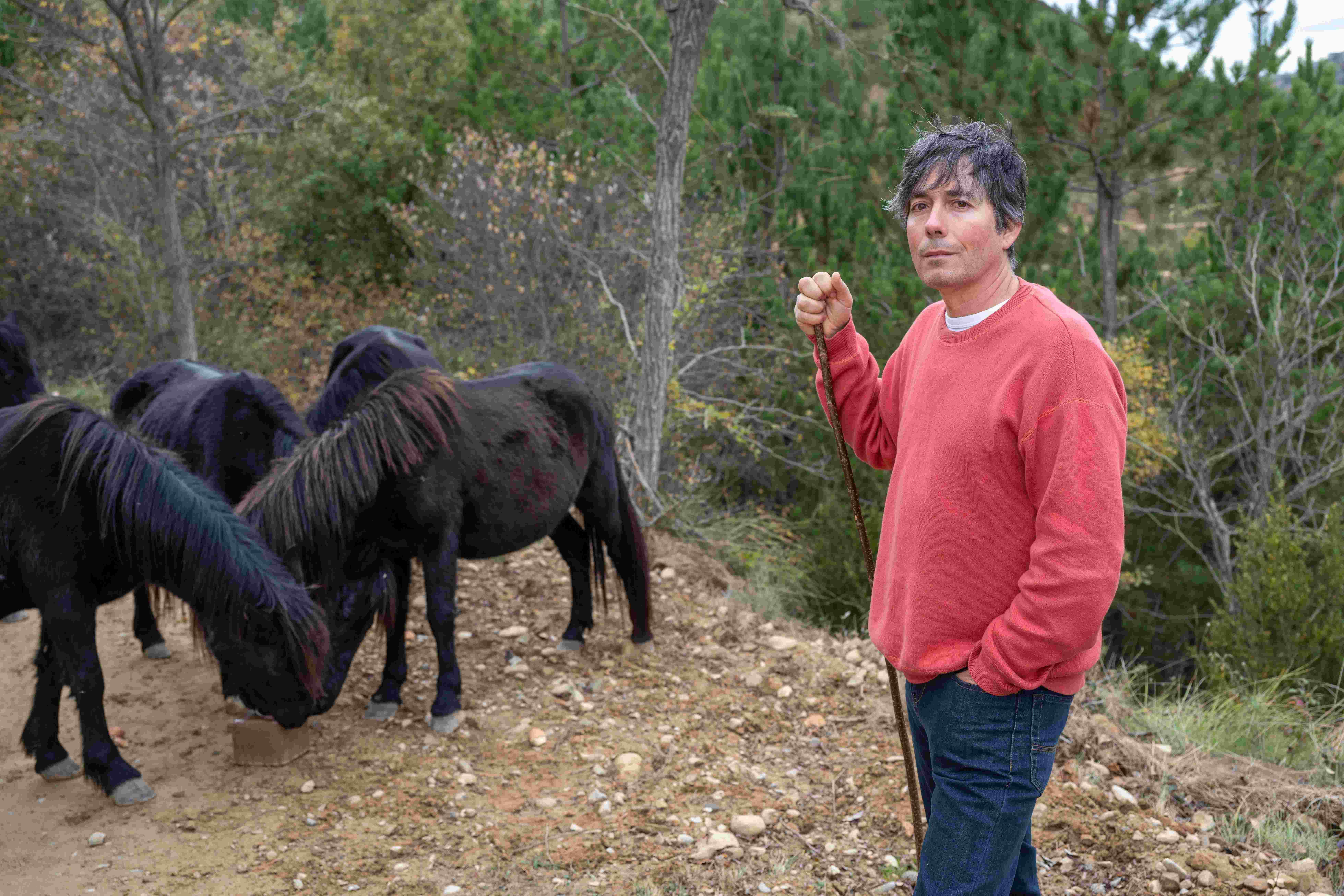 TERNERA ECOLÓGICA DE PETILLA (Sangüesa / Zangoza)
