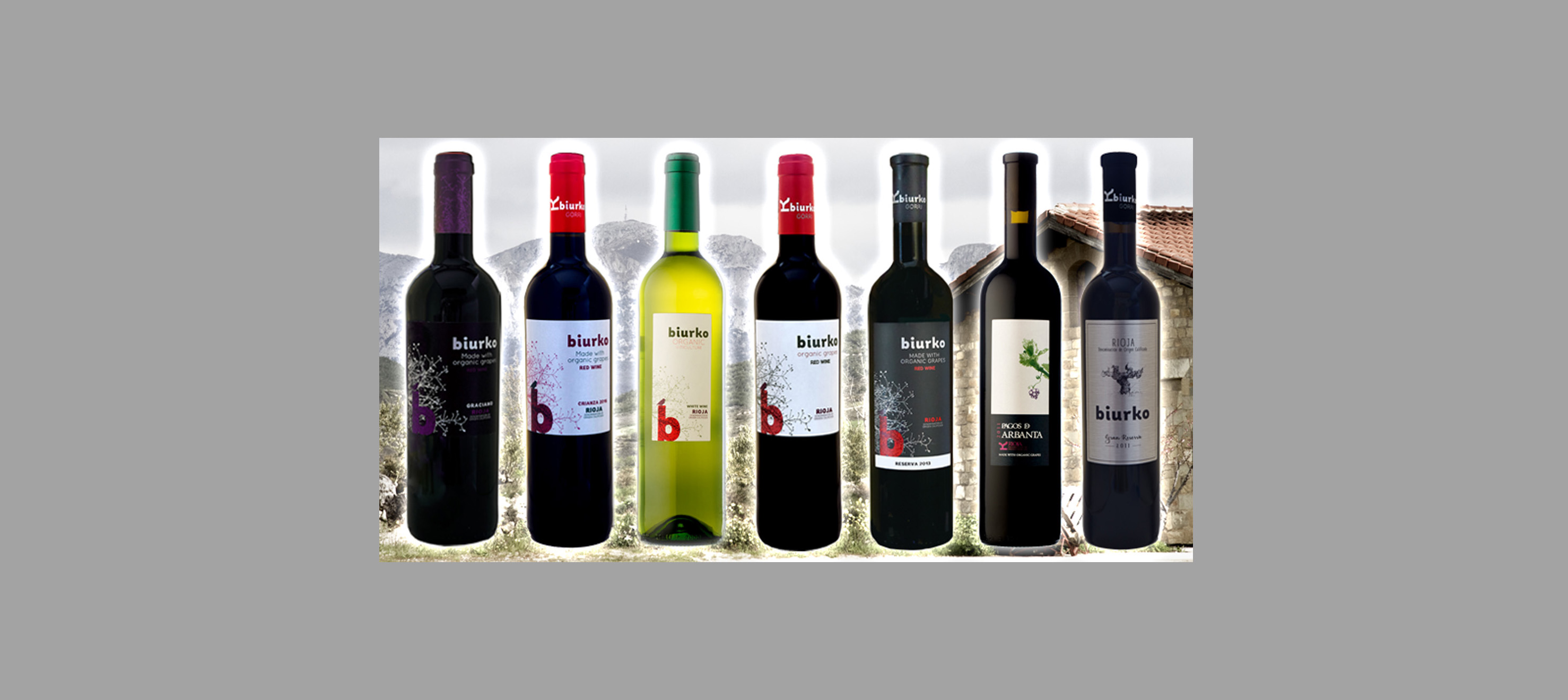 BODEGA BIURKO GORRI  (Bargota)