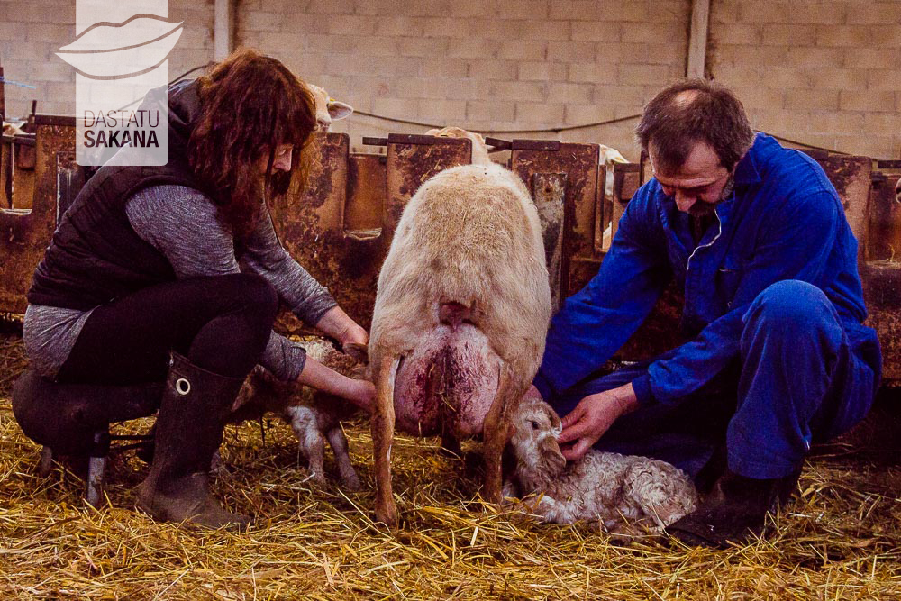 ARAÑA IRIARTE JOSE MANUEL Y ETAYO SAN MARTIN JONE ELIXABETE (Arbizu)