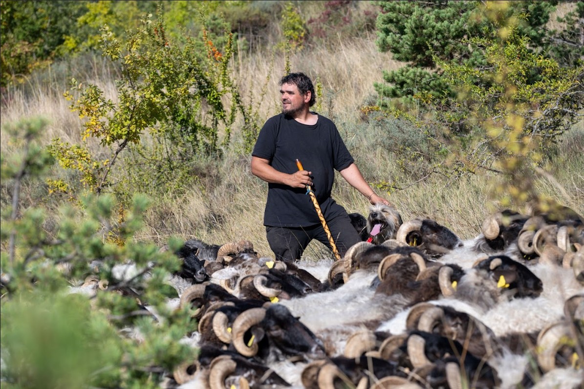 QUESERIA TXANTREA / TXANTREAKO GAZTANDEGIA (Urricelqui / Urritzelki)