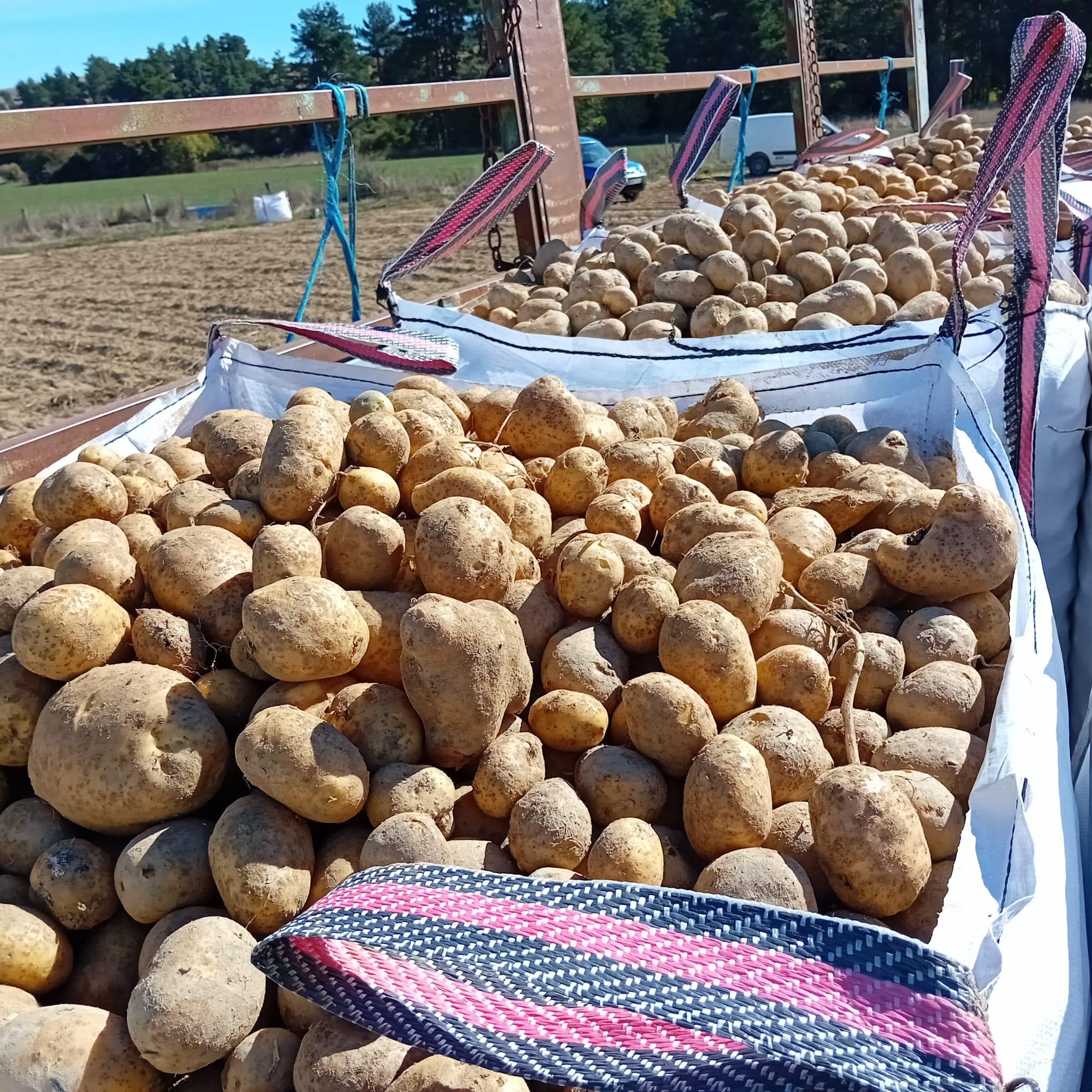 MARIA CARMEN RECA LOREA (HIRIBERRI / VILLANUEVA DE AEZKOA)
