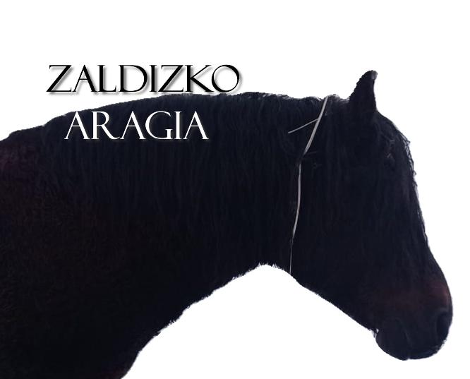ZALDIZKO ARAGIA (Izalzu / Itzaltzu)