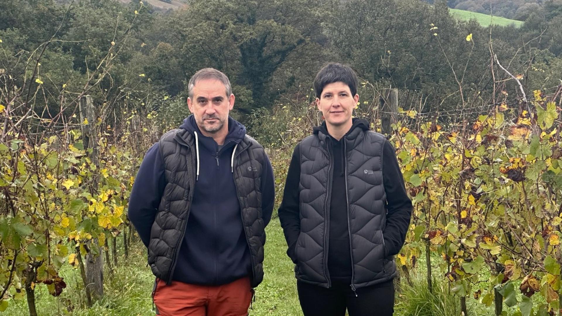 BAZTANGO XURIE (Arizkun)